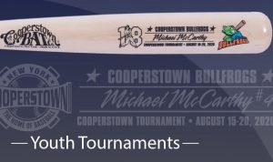 Rookie of the Year - Engraved Baby Gift - Personalized Baseball Bat -  Cooperstown Bat Company